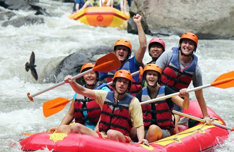 Bali Activities ( 1 Tour search )